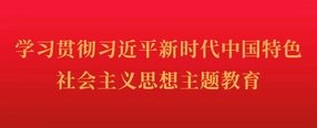 安卓汉化版桃子汉化组平台介绍组织多家