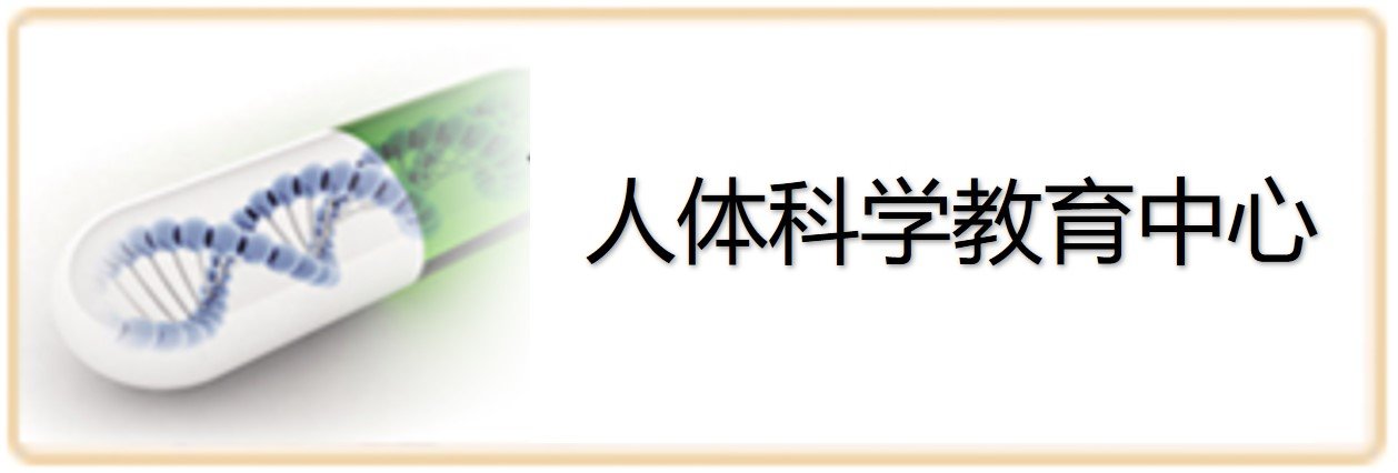 充分展现了安卓汉化版桃子汉化组操作说