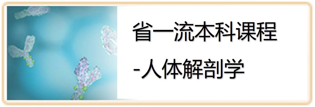 脱颖而出