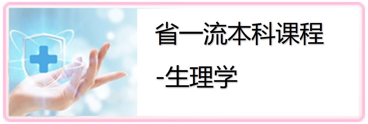 新颖的创作思路和出色的可视化表达能力